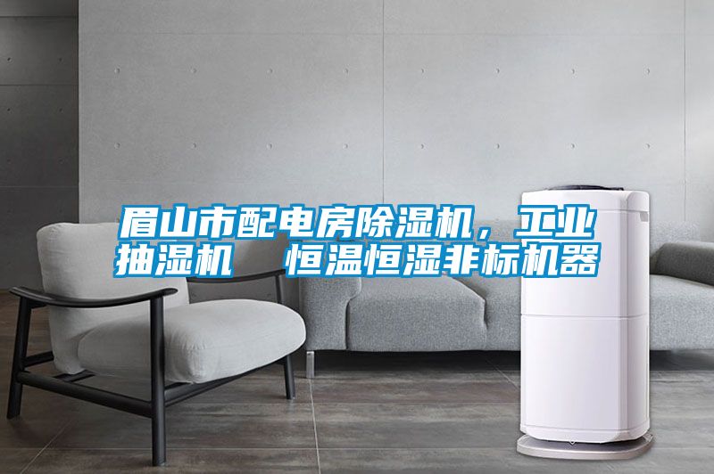 眉山市配電房除濕機(jī)，工業(yè)抽濕機(jī)  恒溫恒濕非標(biāo)機(jī)器