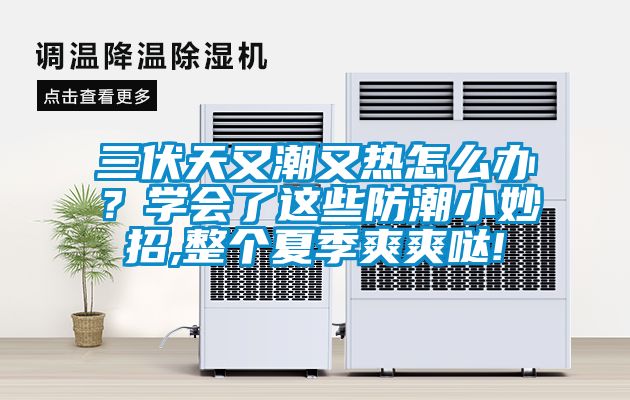 三伏天又潮又熱怎么辦？學(xué)會了這些防潮小妙招,整個夏季爽爽噠!