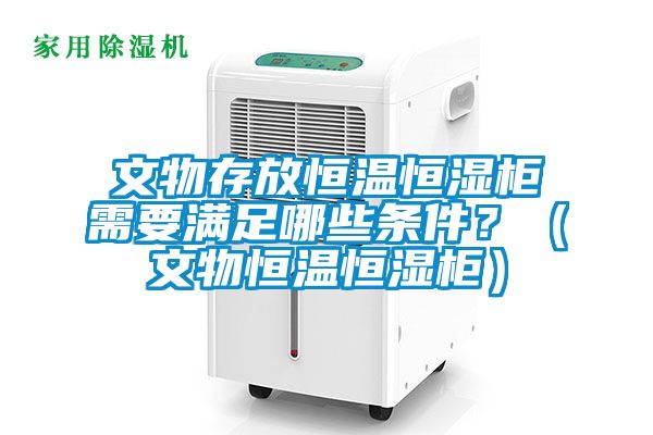 文物存放恒溫恒濕柜需要滿足哪些條件？（文物恒溫恒濕柜）