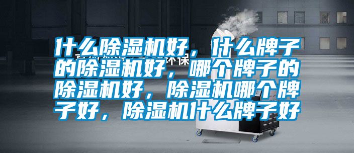 什么除濕機好，什么牌子的除濕機好，哪個牌子的除濕機好，除濕機哪個牌子好，除濕機什么牌子好