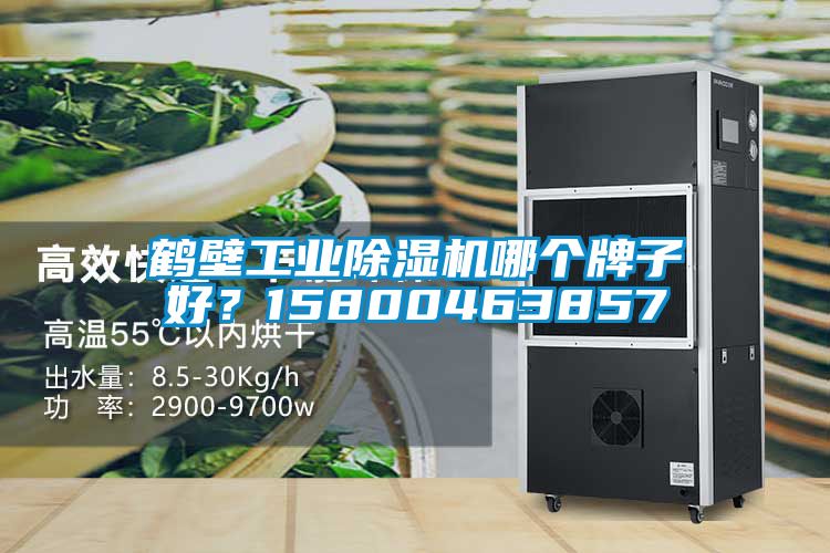 鶴壁工業(yè)除濕機(jī)哪個(gè)牌子好？15800463857