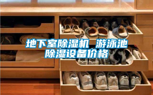 地下室除濕機(jī) 游泳池除濕設(shè)備價格