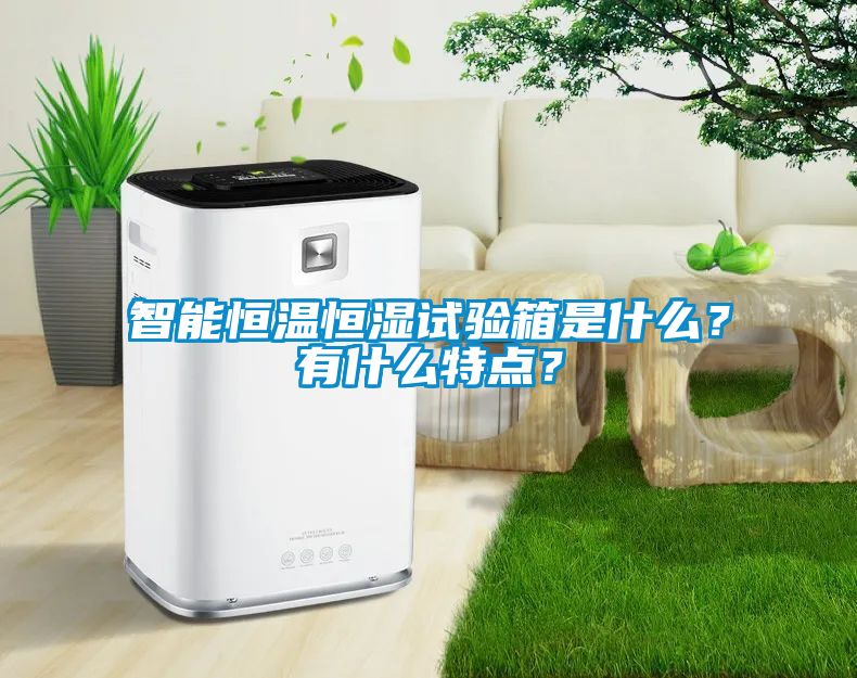 智能恒溫恒濕試驗(yàn)箱是什么？有什么特點(diǎn)？