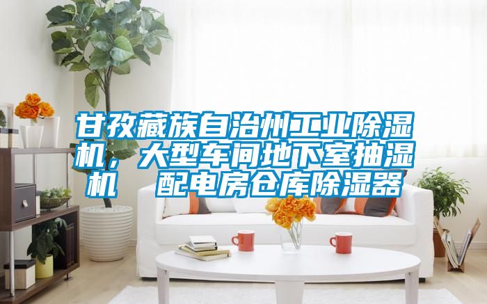 甘孜藏族自治州工業(yè)除濕機，大型車間地下室抽濕機  配電房倉庫除濕器