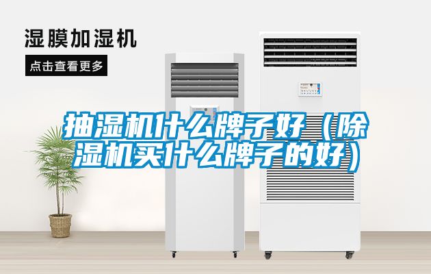 抽濕機(jī)什么牌子好(除濕機(jī)買什么牌子的好)