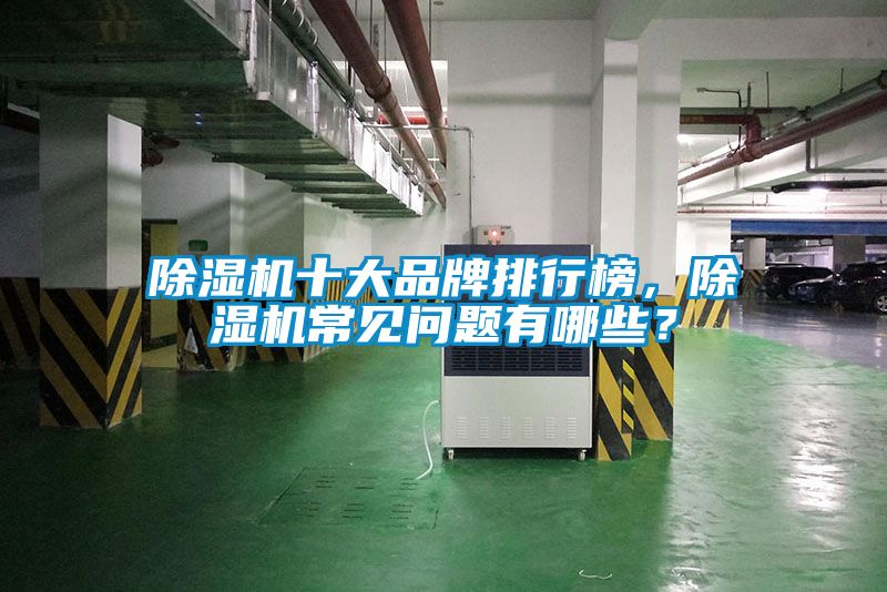 除濕機(jī)十大品牌排行榜，除濕機(jī)常見問題有哪些？
