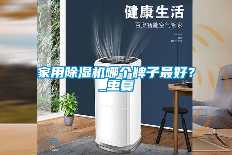 家用除濕機(jī)哪個牌子最好？_重復(fù)