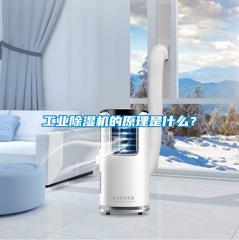 工業(yè)除濕機(jī)的原理是什么？