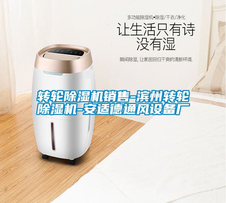 轉(zhuǎn)輪除濕機銷售-濱州轉(zhuǎn)輪除濕機-安適德通風設備廠
