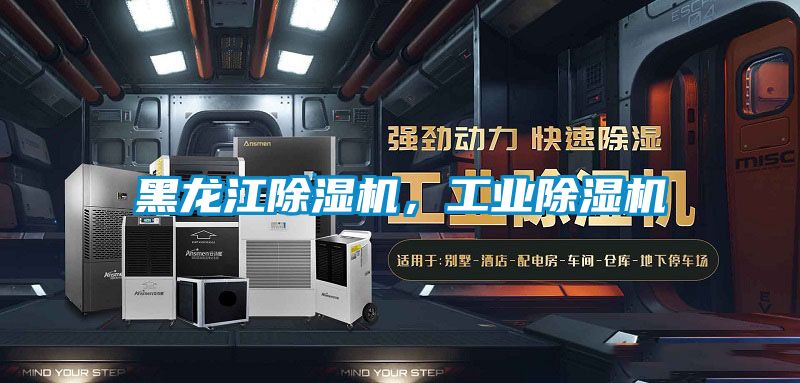 黑龍江除濕機，工業(yè)除濕機