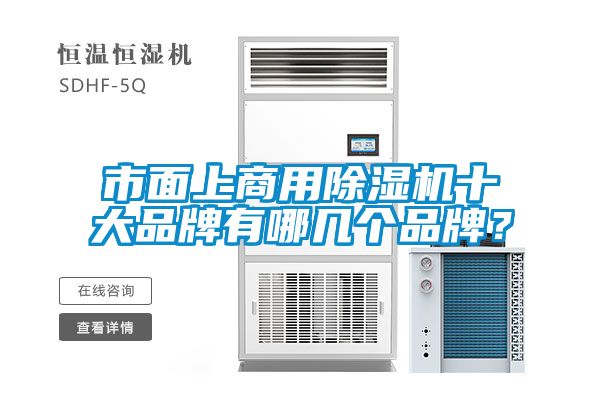 市面上商用除濕機十大品牌有哪幾個品牌？