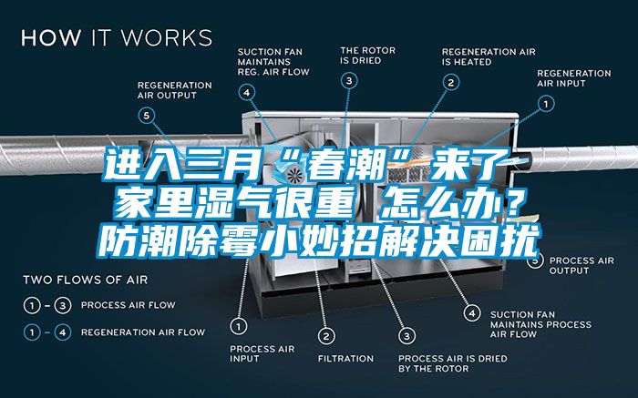 進入三月“春潮”來了 家里濕氣很重 怎么辦？防潮除霉小妙招解決困擾