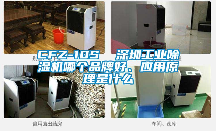 CFZ-10S  深圳工業(yè)除濕機(jī)哪個(gè)品牌好、應(yīng)用原理是什么