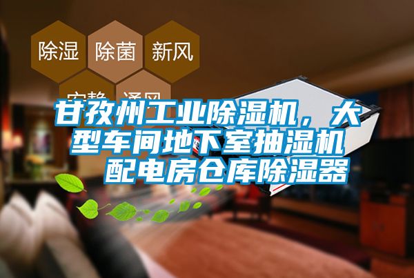 甘孜州工業(yè)除濕機(jī)，大型車間地下室抽濕機(jī)  配電房倉(cāng)庫(kù)除濕器